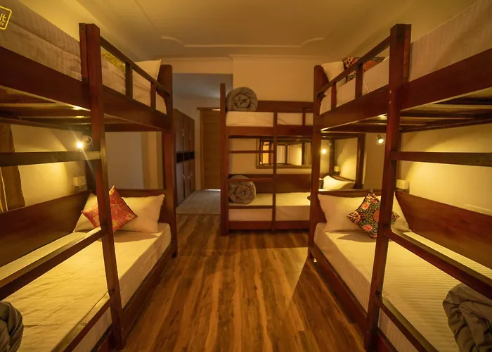 Alt Life - ManaliHostel