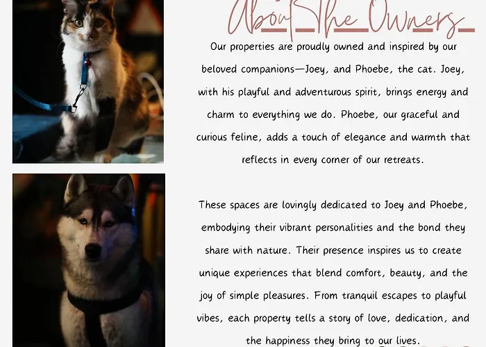 360 Degree, Riverside Stay, Old ManaliHostel